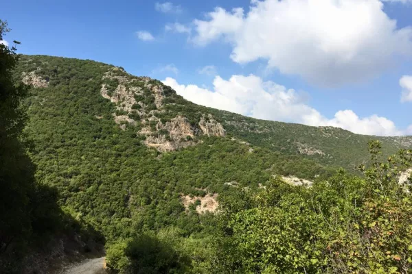 The Fifth Hike to Explore Wadi Zbeqin and Declare It a Natural Reserve gallery