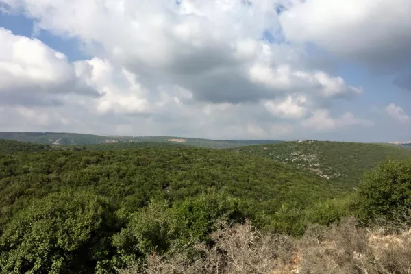 The Fifth Hike to Explore Wadi Zbeqin and Declare It a Natural Reserve gallery
