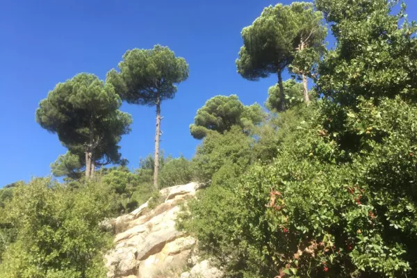 Exploration Hike of Al-Rayhan gallery