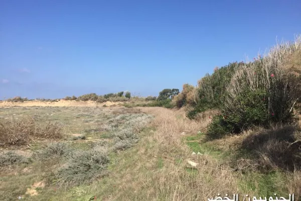 Al-Abbasiya Natural Beach Reserve gallery