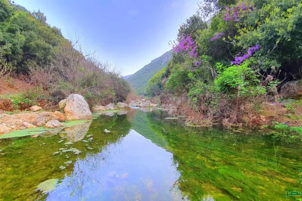 Wadi Zebqine Nature Reserve gallery