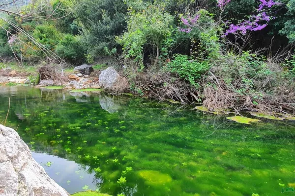 Wadi Zebqine Nature Reserve gallery