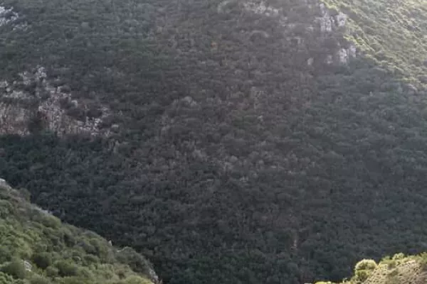 Wadi Zebqine Nature Reserve gallery