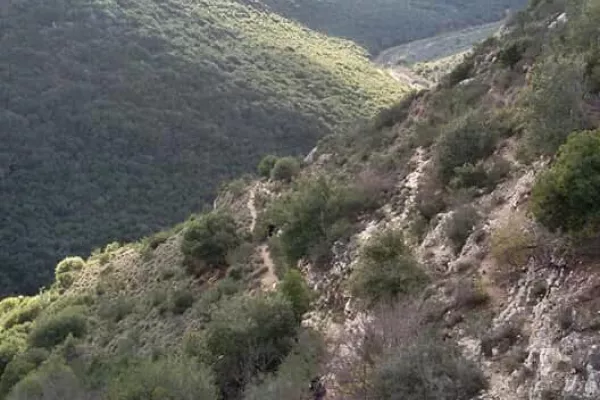 Wadi Zebqine Nature Reserve gallery