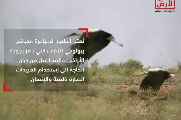 Migratory Bird Protection Project gallery