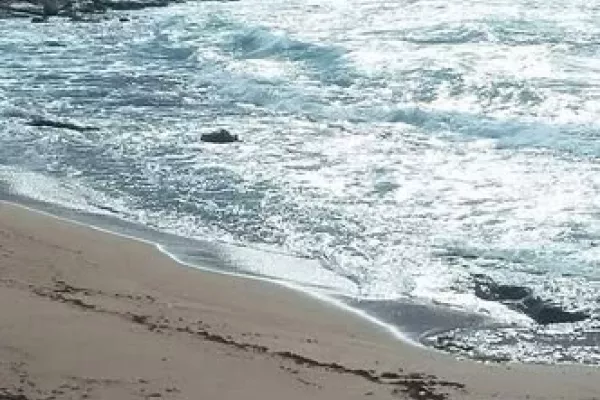 Notification to Judicial Authorities in Lebanon gallery