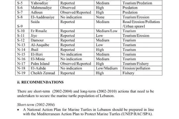 Adloun Beach Classified Among the Nine Highest-Priority Sea Turtle Nesting Sites on the Lebanese Coast gallery