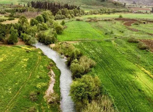 Grasslands and Steppes