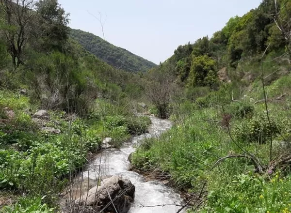 Freshwater Ecosystems