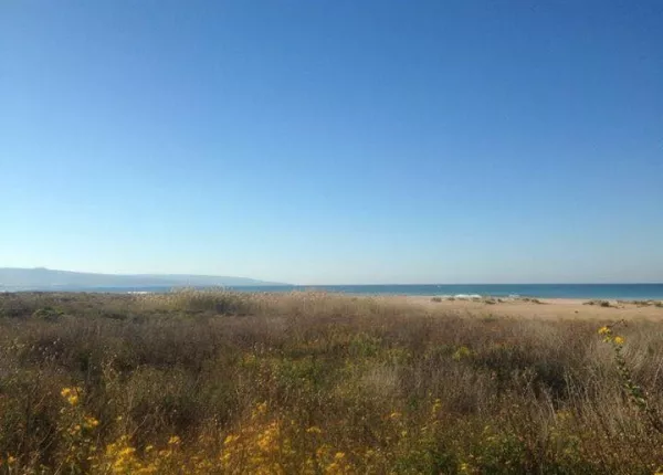 Tyre Coast Nature Reserve