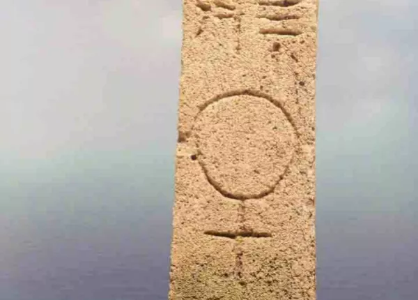 The first major advocacy/campaign issue