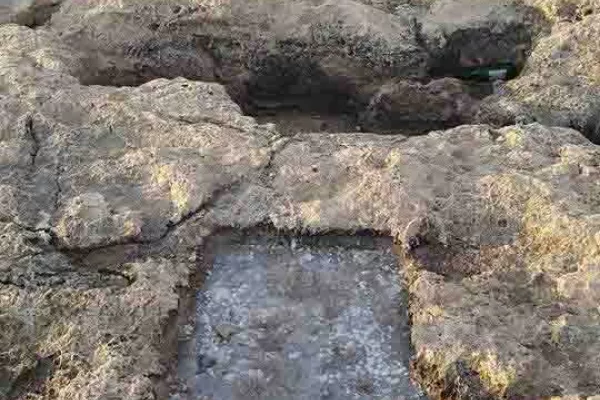 Adloun Beach Reserve Project gallery