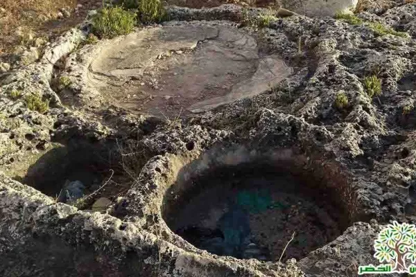 Adloun Beach Reserve Project gallery