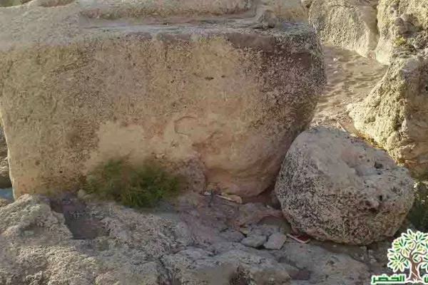 Adloun Beach Reserve Project gallery