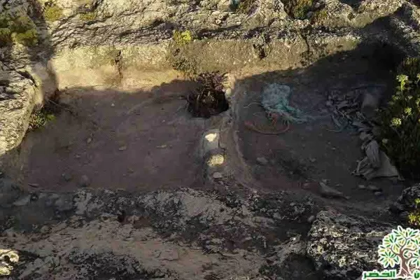 Adloun Beach Reserve Project gallery