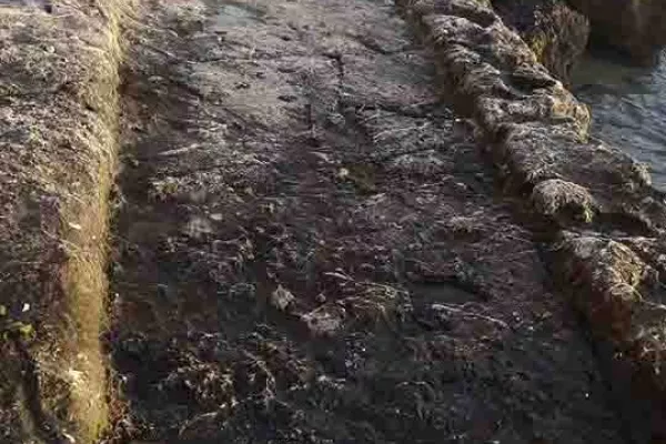 Adloun Beach Reserve Project gallery