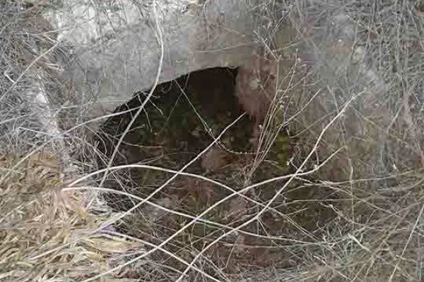 Adloun Beach Reserve Project gallery