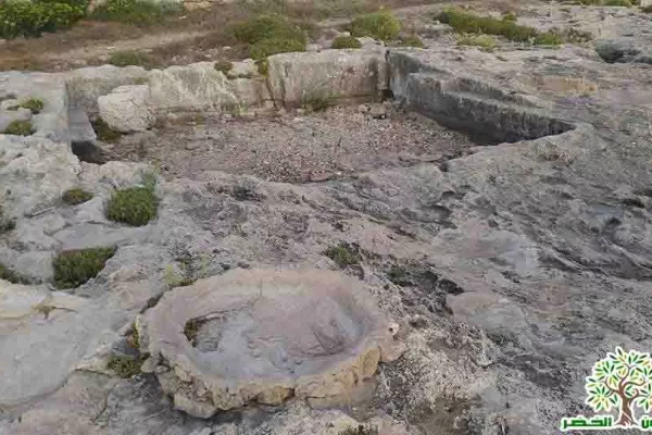 Adloun Beach Reserve Project gallery