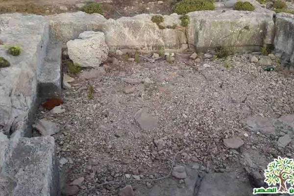 Adloun Beach Reserve Project gallery