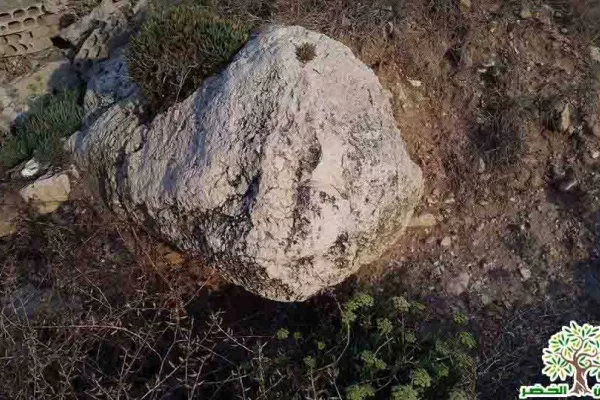 Adloun Beach Reserve Project gallery