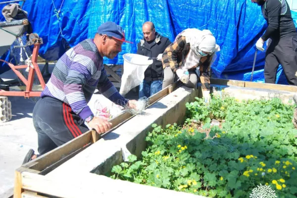 Cleaning Campaign at Tyre Port within the "Eco-Fisherman" Project gallery