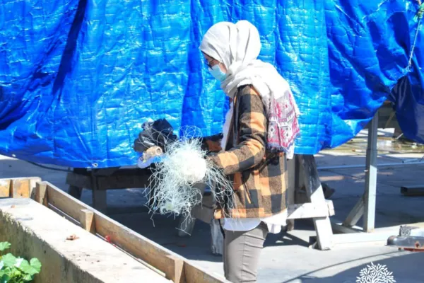 Cleaning Campaign at Tyre Port within the "Eco-Fisherman" Project gallery