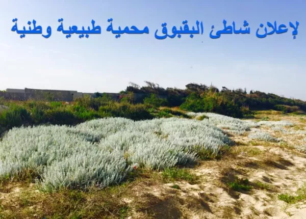 Abbassieh Beach (Baqbouq) Reserve Project