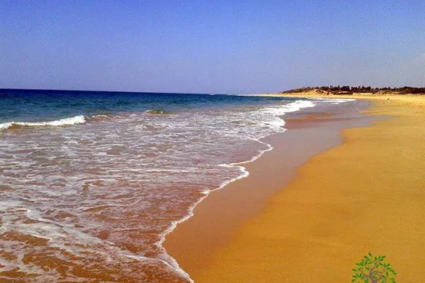 Abbassieh Beach (Baqbouq) Reserve Project gallery