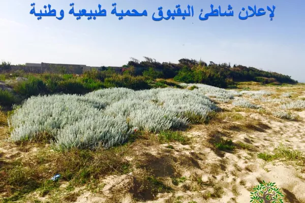 Abbassieh Beach (Baqbouq) Reserve Project gallery