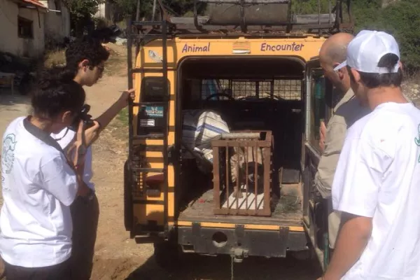 Judicial precedent in the case of the hyena “Bella.” gallery