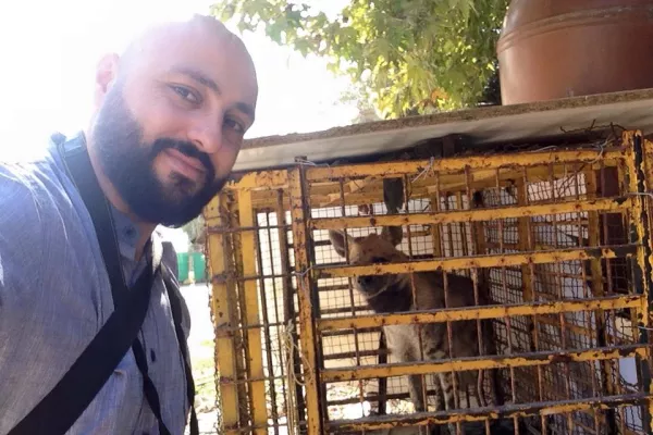 Judicial precedent in the case of the hyena “Bella.” gallery