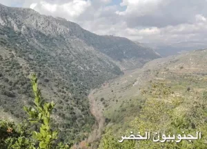 Indicators of the Litani River’s recovery.