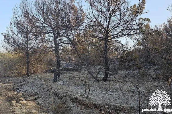 Documenting Environmental Aggression gallery