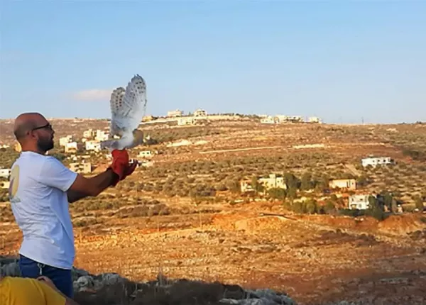 Soren, Guardian of Yahmar Fields