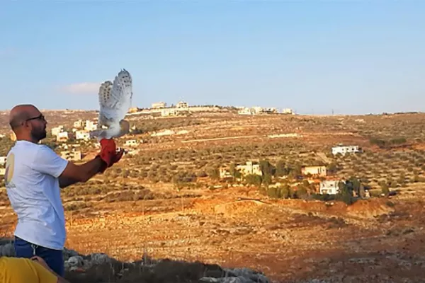 Soren, Guardian of Yahmar Fields gallery