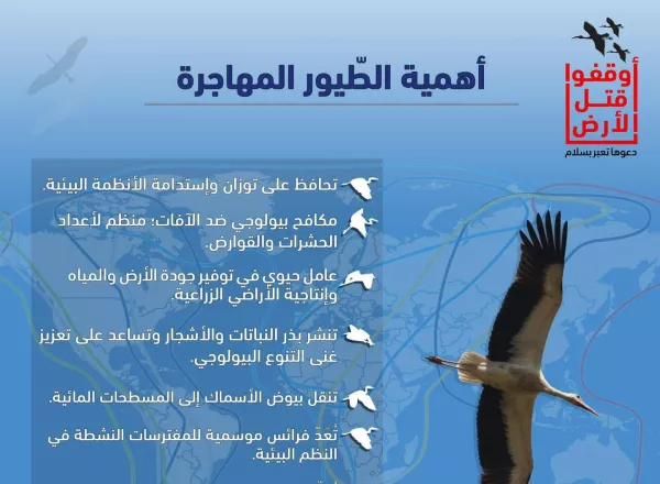 Migratory Birds Infographic