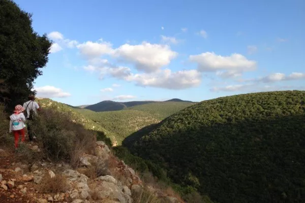 Introduction Walk to Protect Wadi Zibqin gallery