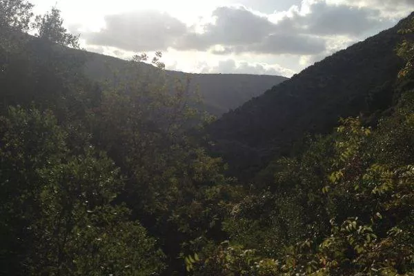Introduction Walk to Protect Wadi Zibqin gallery