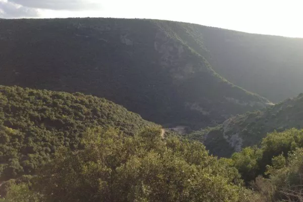 Introduction Walk to Protect Wadi Zibqin gallery