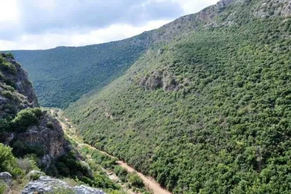 Wadi Zebqine Exploration and Documentation Hike gallery