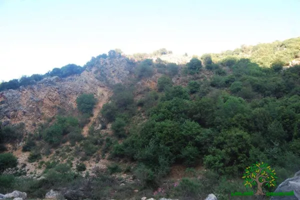 The Third Hike… Towards Declaring Zibqin Valley a National Nature Reserve gallery