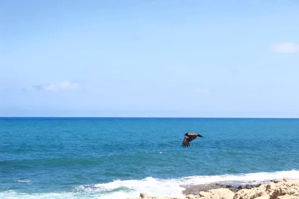 Discovering Naqoura Hike gallery