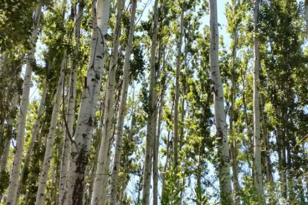 Rachaya Hike gallery